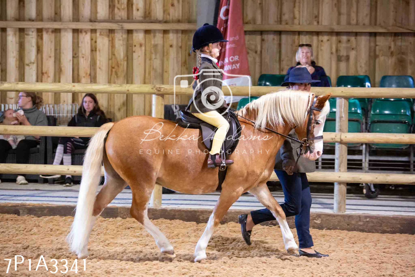 Home Farm Funshine Show 2024 - Ridden Showing 15th September