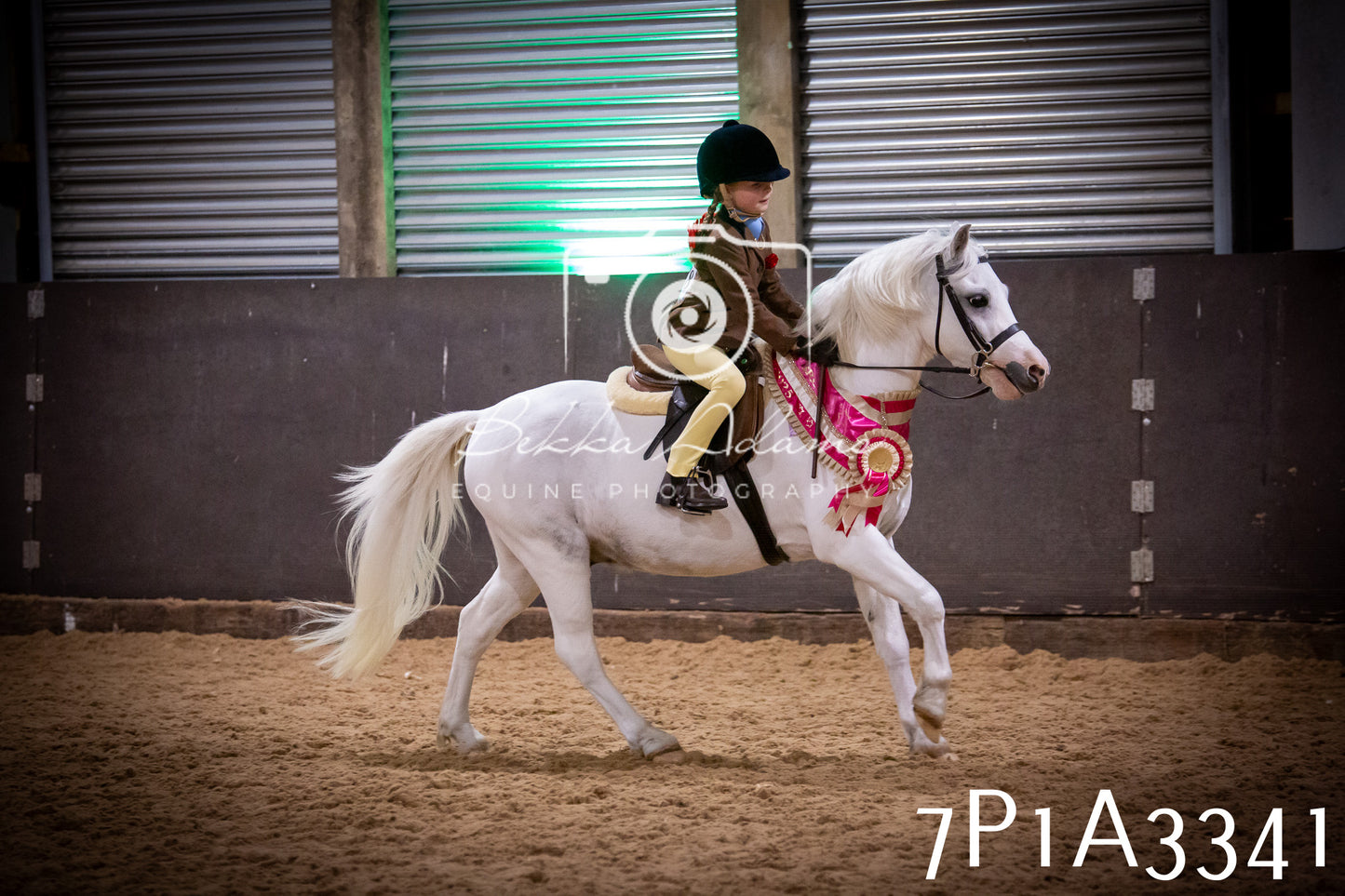 JHOYS 2025 - Ridden Showing - 28th September - pt4