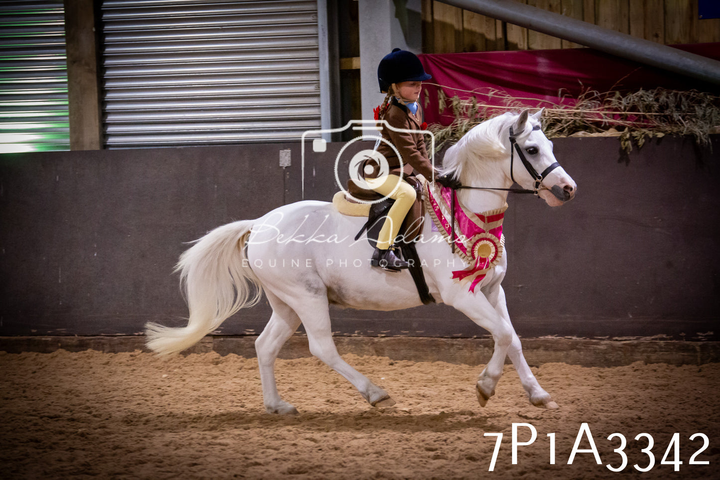 JHOYS 2025 - Ridden Showing - 28th September - pt4