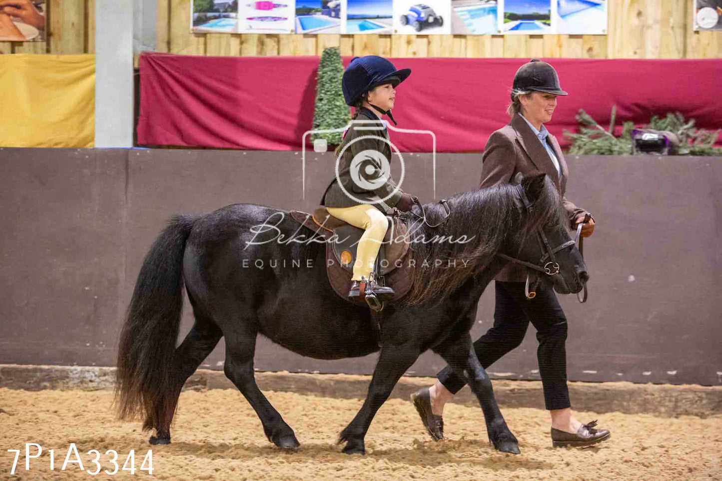 Home Farm Funshine Show 2024 - Ridden Showing 15th September