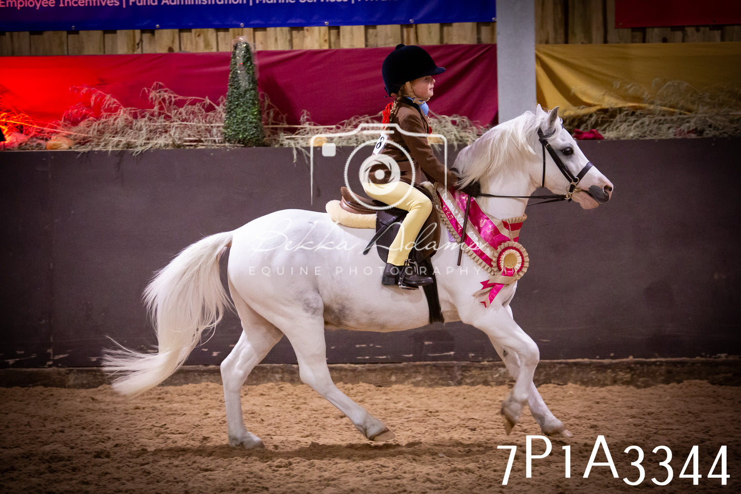 JHOYS 2025 - Ridden Showing - 28th September - pt4