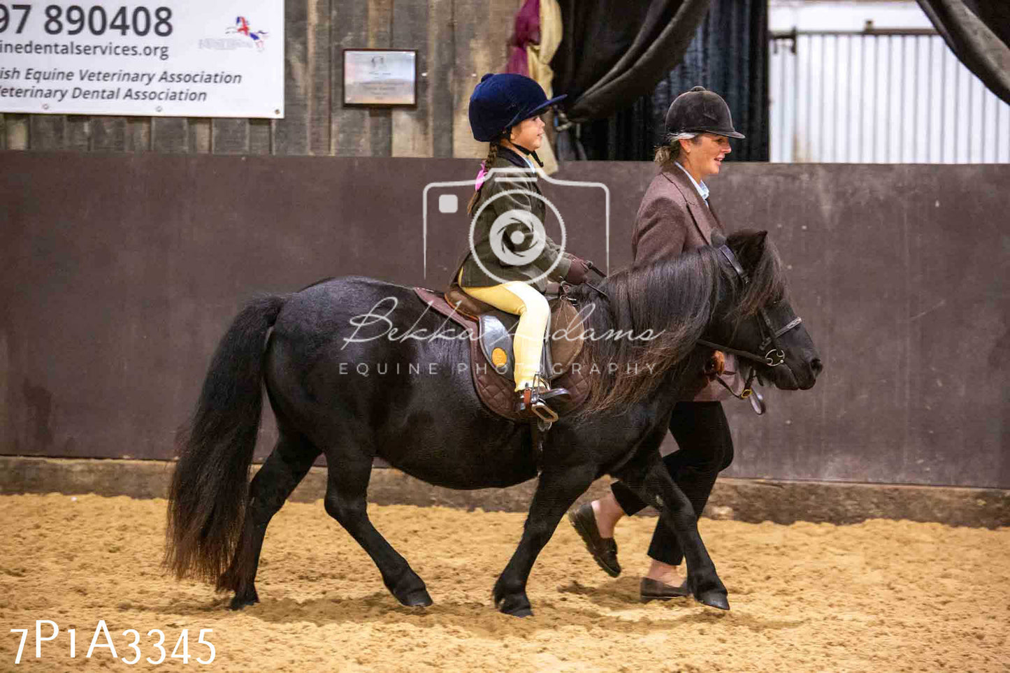 Home Farm Funshine Show 2024 - Ridden Showing 15th September