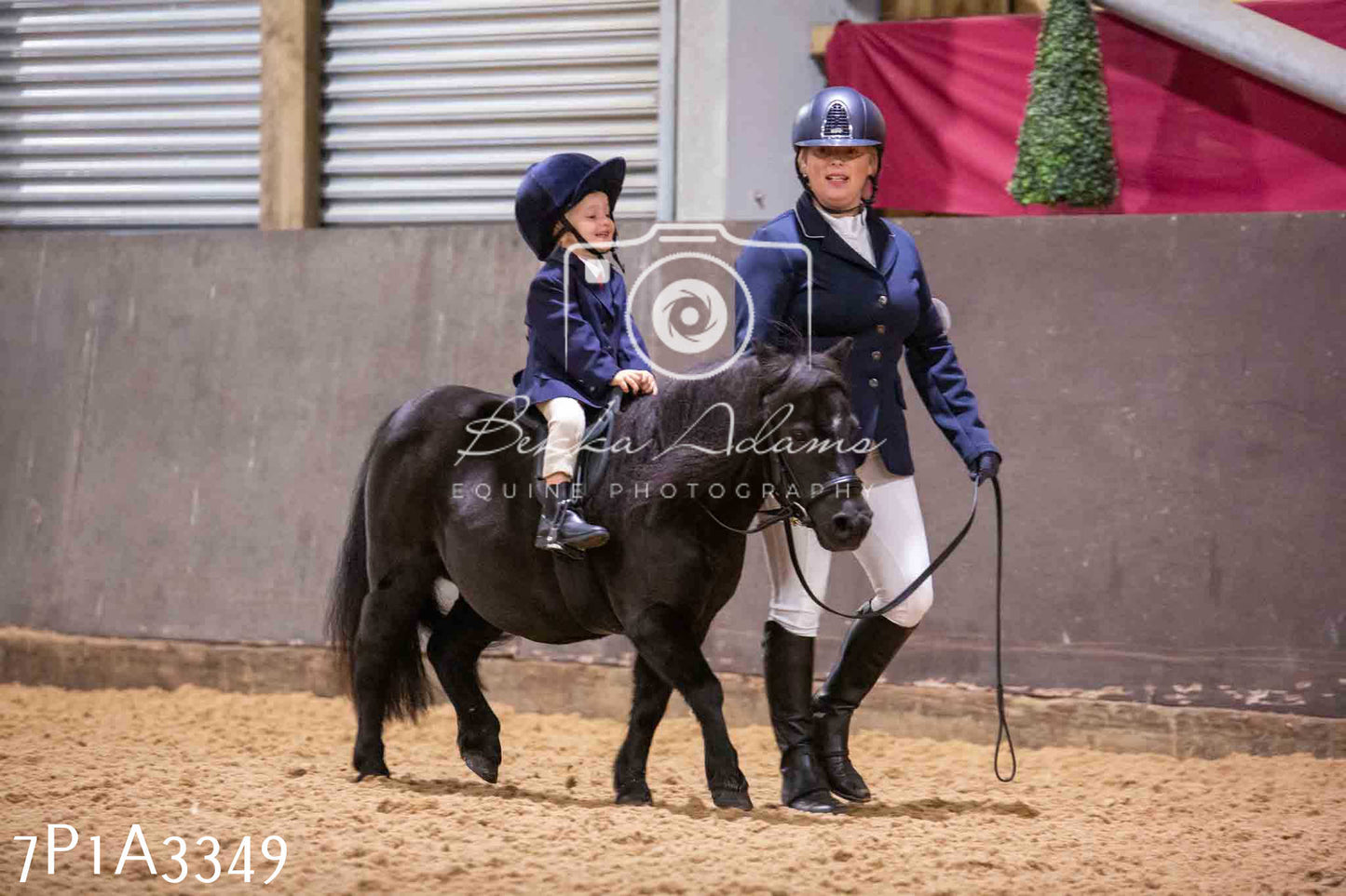 Home Farm Funshine Show 2024 - Ridden Showing 15th September