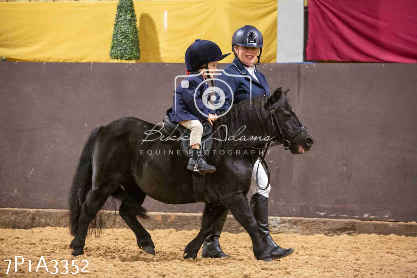 Home Farm Funshine Show 2024 - Ridden Showing 15th September