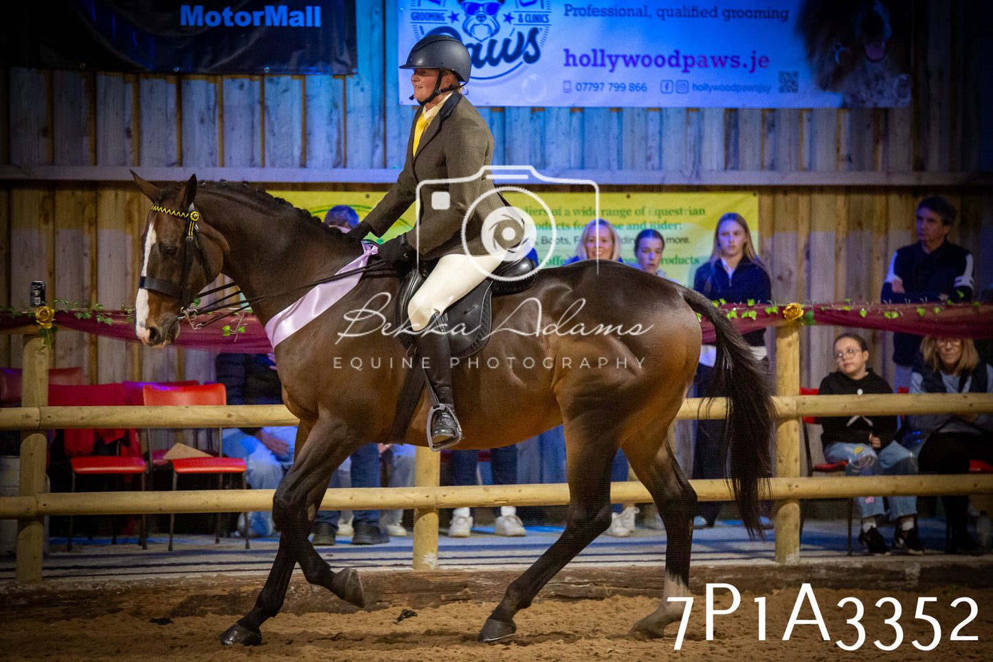 JHOYS 2025 - Ridden Showing - 28th September - pt4