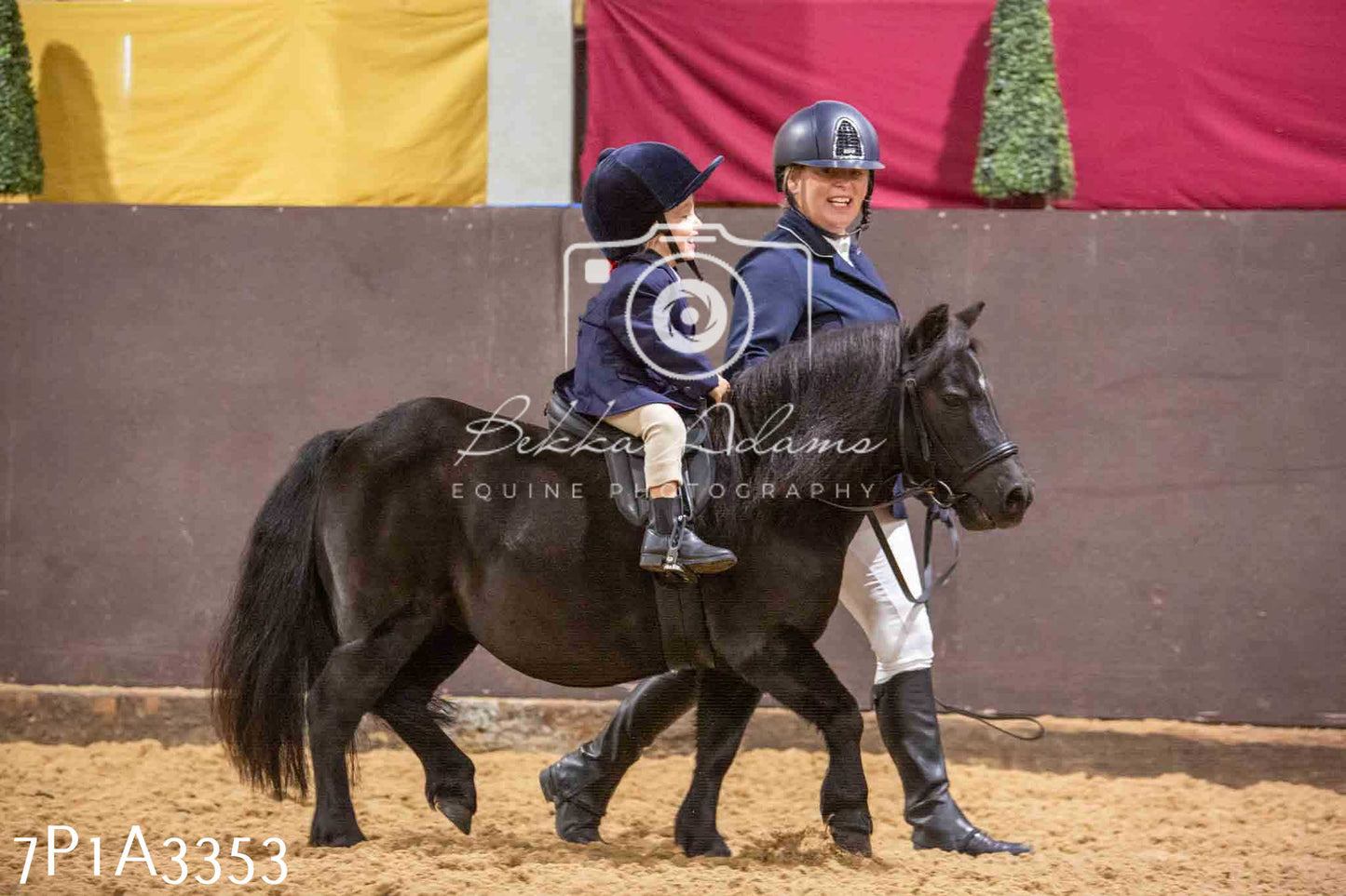 Home Farm Funshine Show 2024 - Ridden Showing 15th September