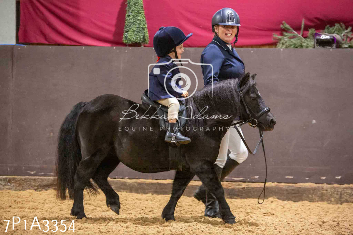 Home Farm Funshine Show 2024 - Ridden Showing 15th September