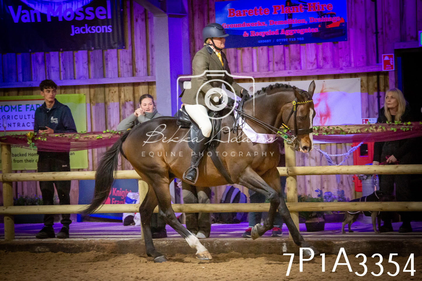 JHOYS 2025 - Ridden Showing - 28th September - pt4