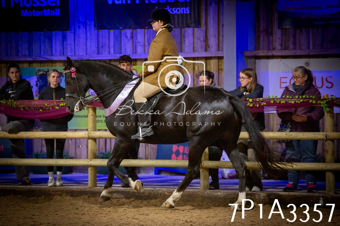 JHOYS 2025 - Ridden Showing - 28th September - pt4