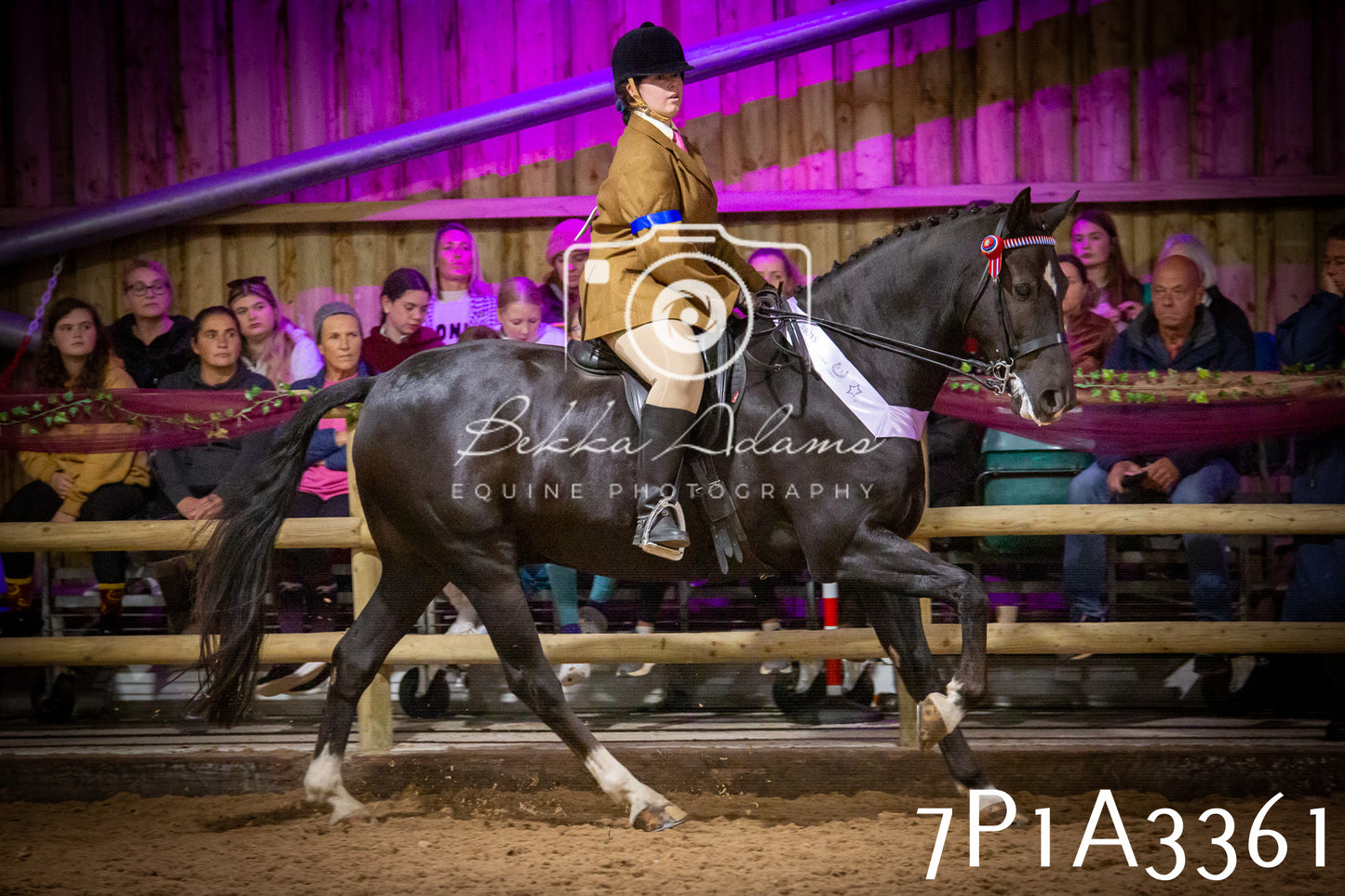 JHOYS 2025 - Ridden Showing - 28th September - pt4