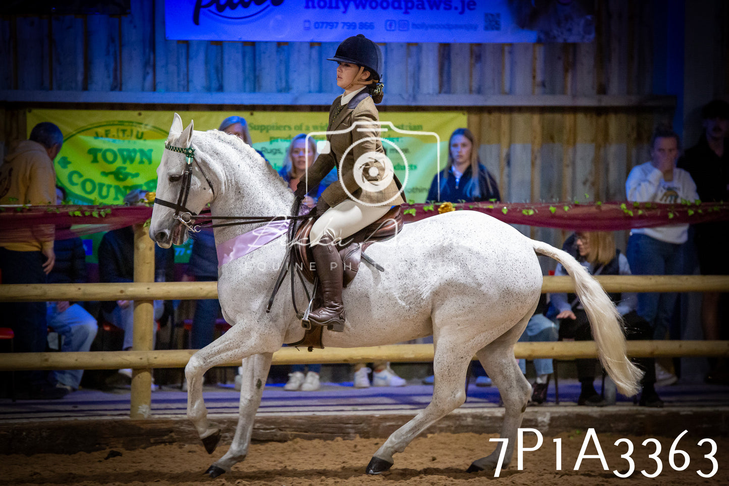 JHOYS 2025 - Ridden Showing - 28th September - pt4