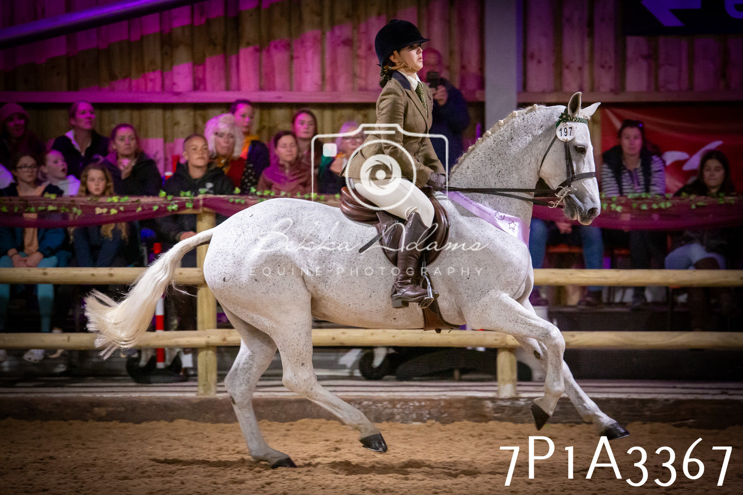 JHOYS 2025 - Ridden Showing - 28th September - pt4