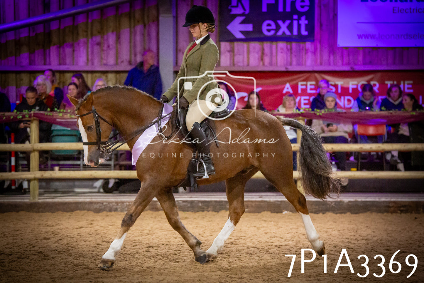 JHOYS 2025 - Ridden Showing - 28th September - pt4