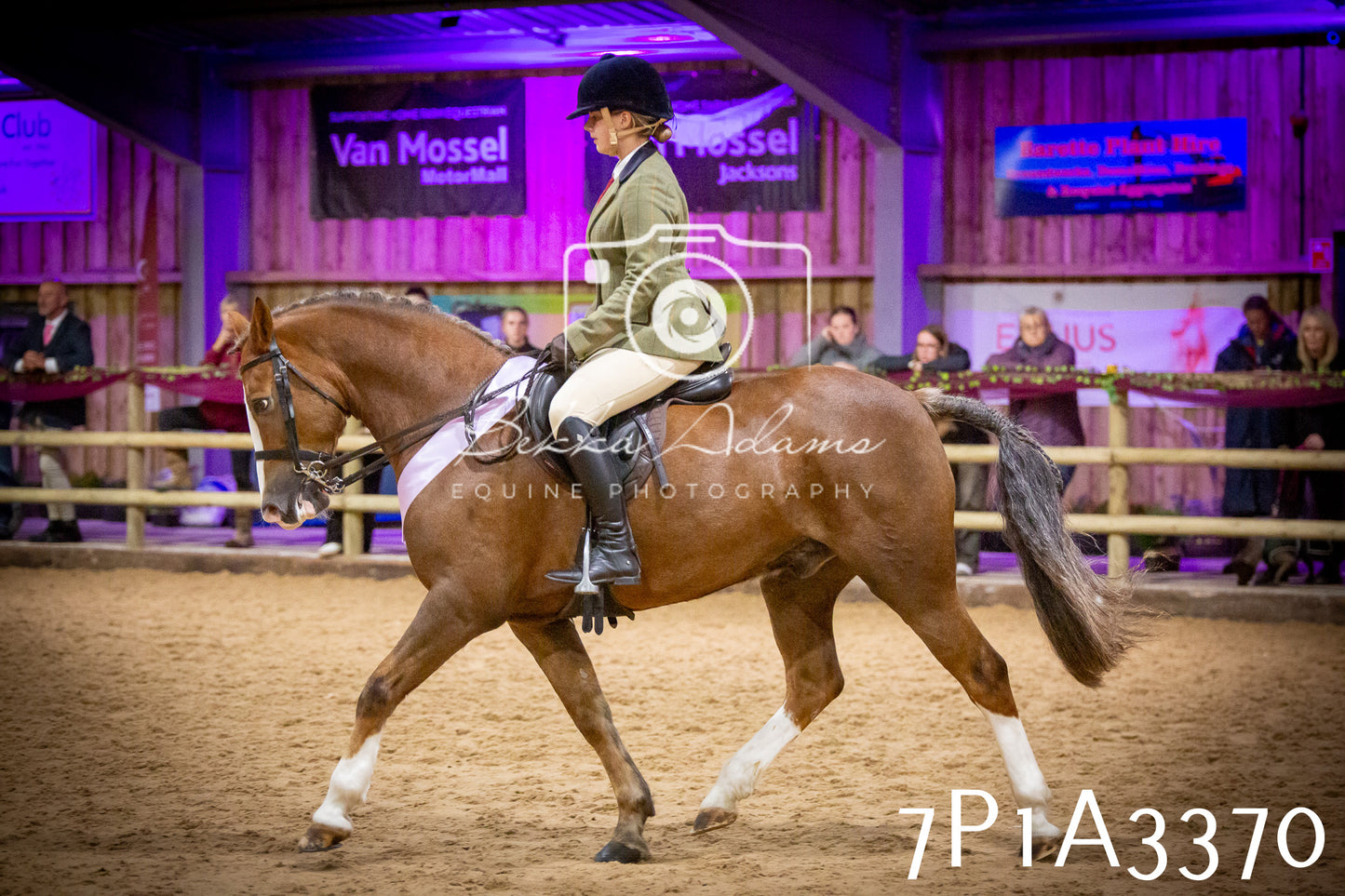 JHOYS 2025 - Ridden Showing - 28th September - pt4