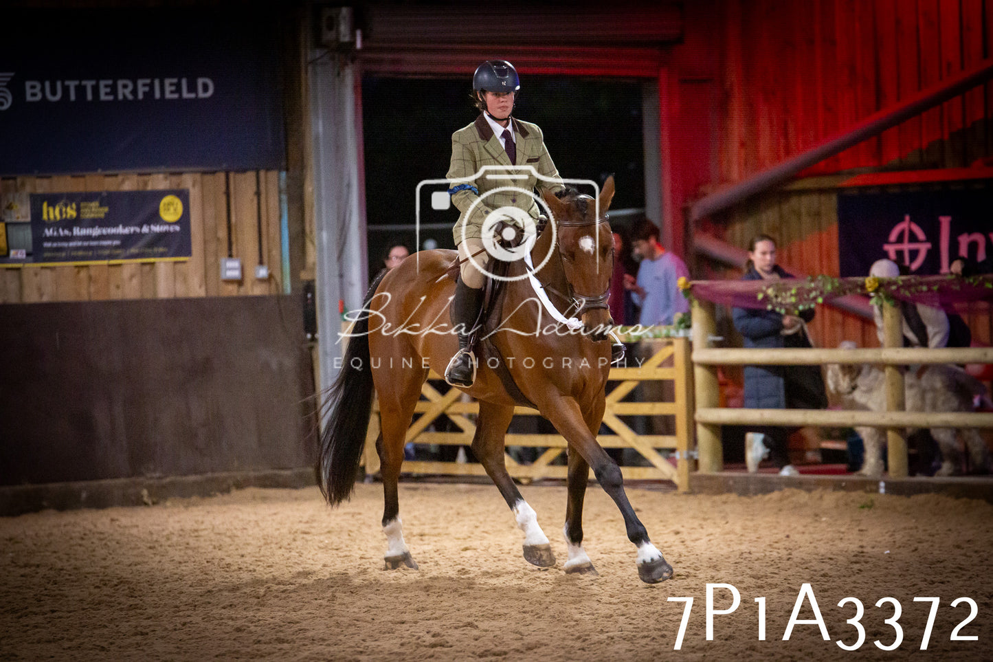 JHOYS 2025 - Ridden Showing - 28th September - pt4