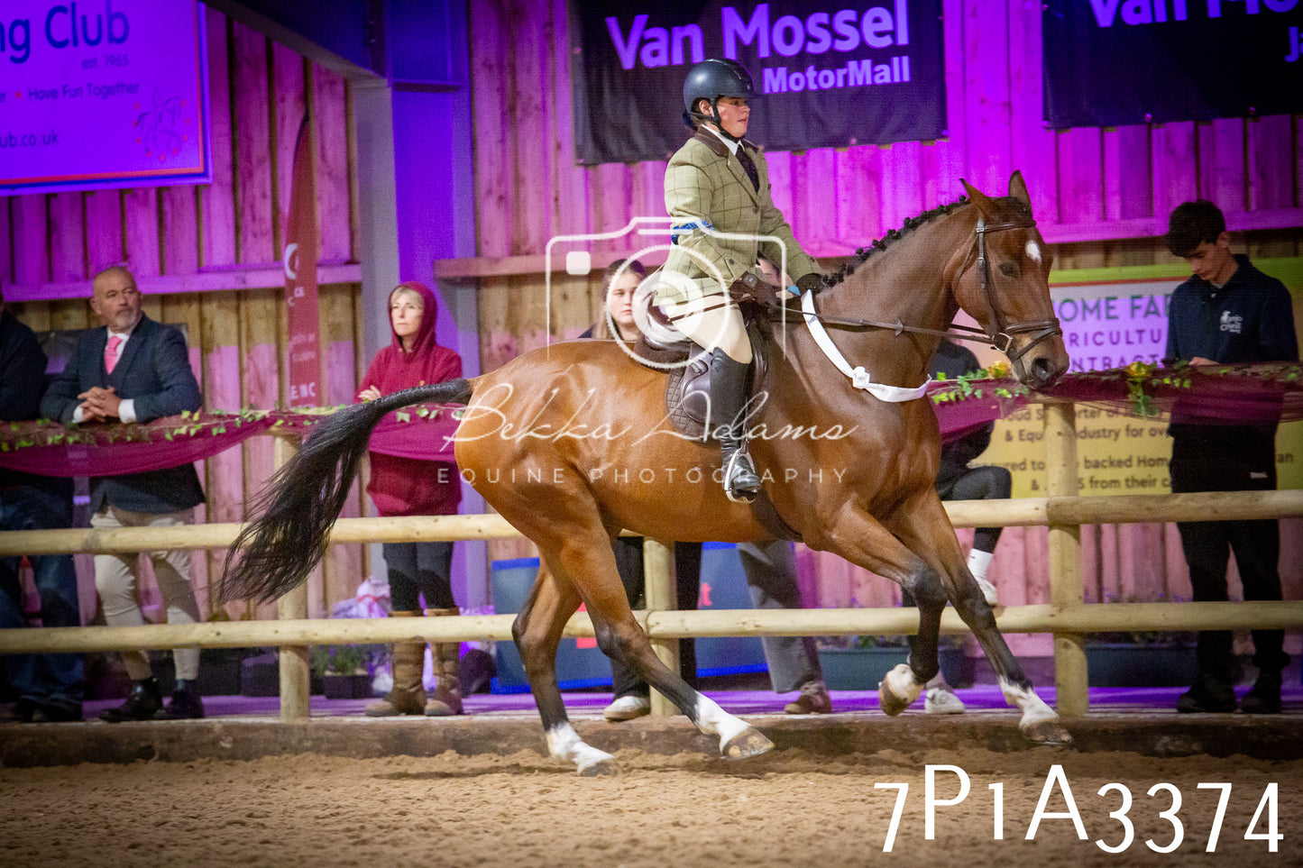 JHOYS 2025 - Ridden Showing - 28th September - pt4