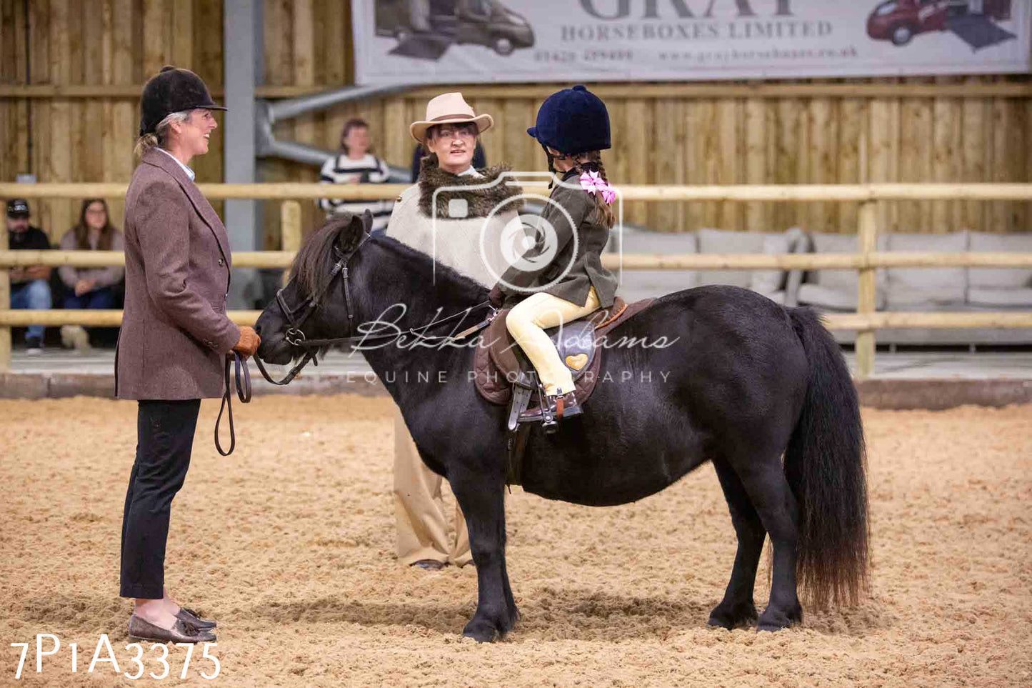 Home Farm Funshine Show 2024 - Ridden Showing 15th September