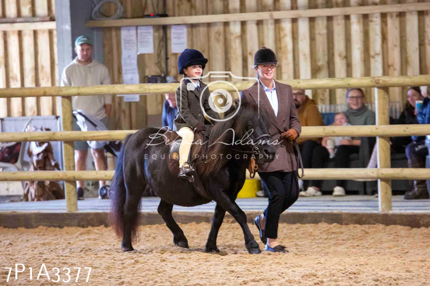 Home Farm Funshine Show 2024 - Ridden Showing 15th September