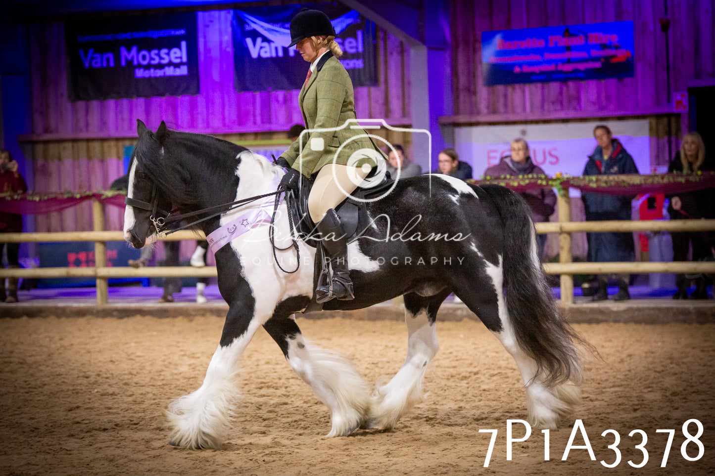 JHOYS 2025 - Ridden Showing - 28th September - pt4