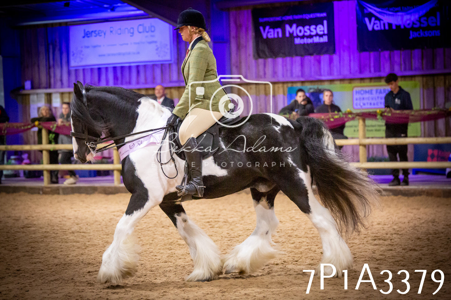 JHOYS 2025 - Ridden Showing - 28th September - pt4