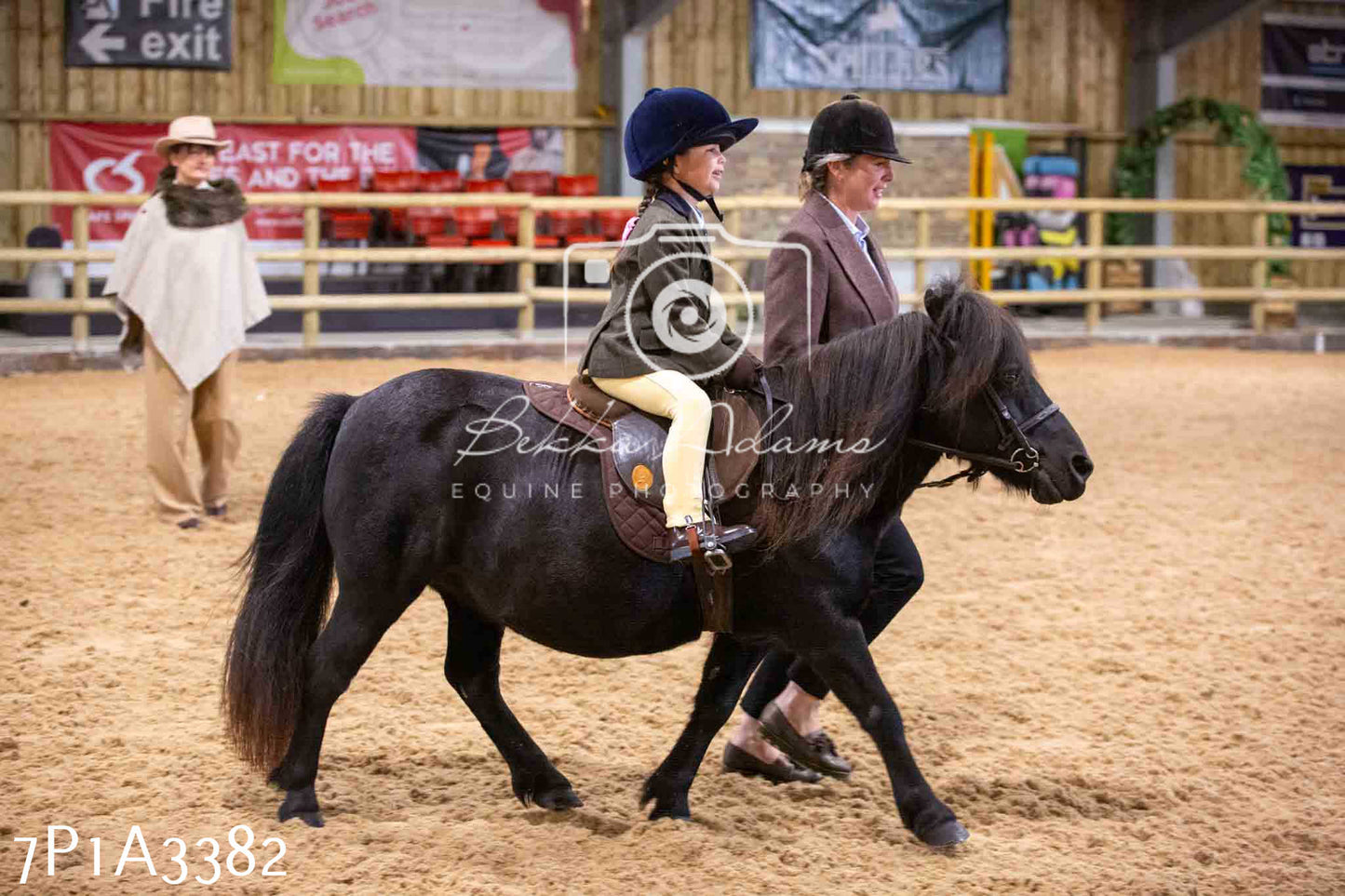 Home Farm Funshine Show 2024 - Ridden Showing 15th September