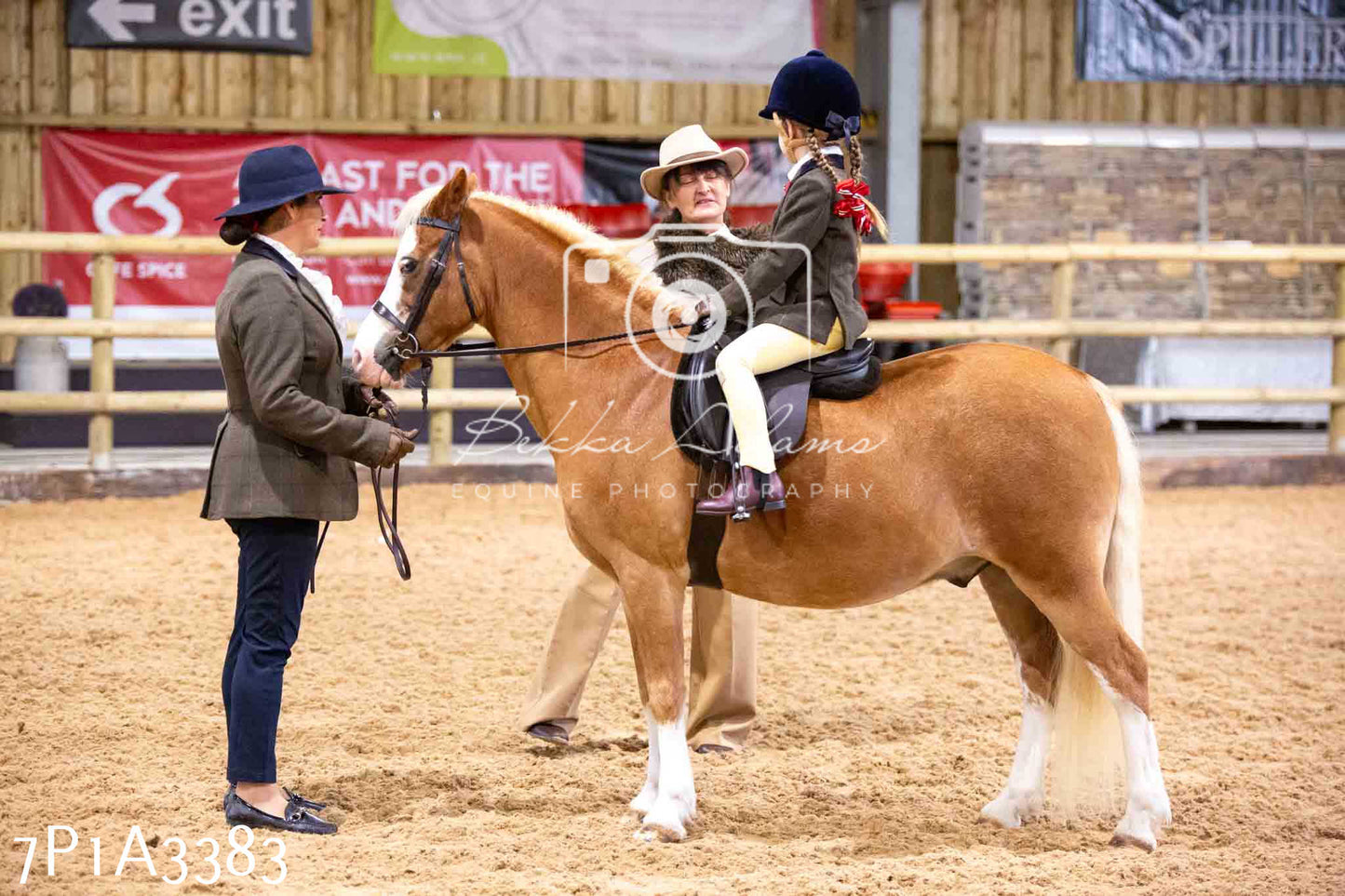 Home Farm Funshine Show 2024 - Ridden Showing 15th September