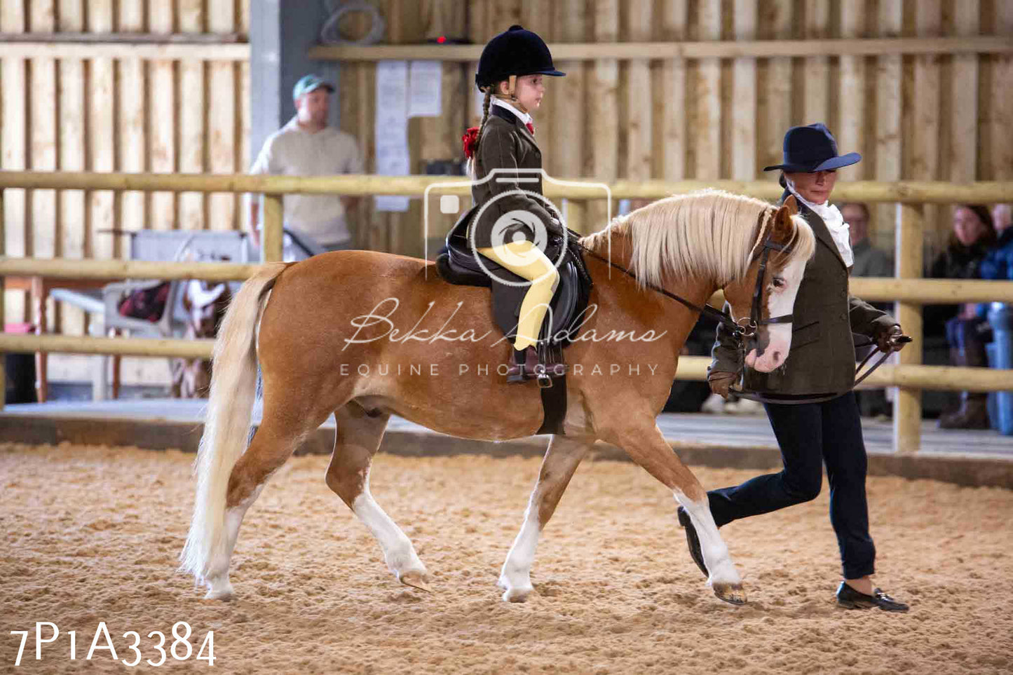 Home Farm Funshine Show 2024 - Ridden Showing 15th September