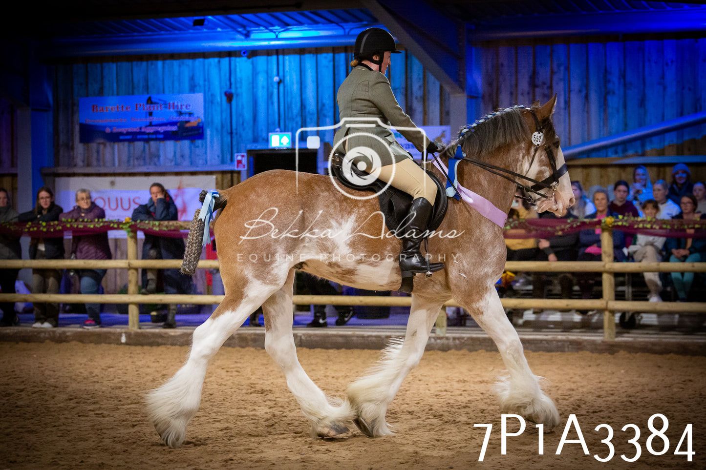 JHOYS 2025 - Ridden Showing - 28th September - pt4