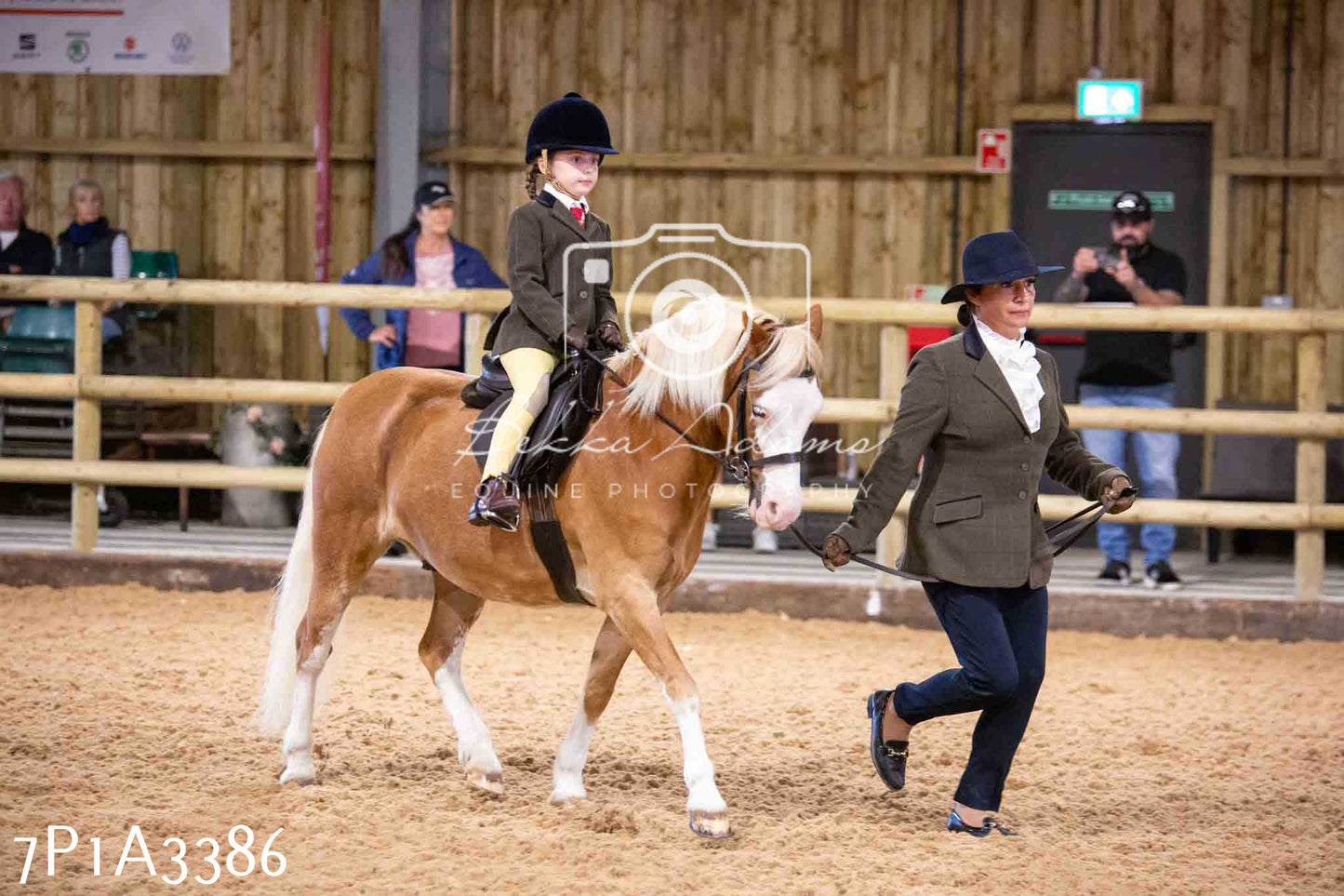 Home Farm Funshine Show 2024 - Ridden Showing 15th September