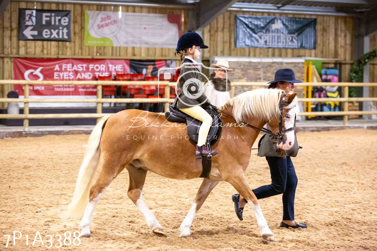 Home Farm Funshine Show 2024 - Ridden Showing 15th September