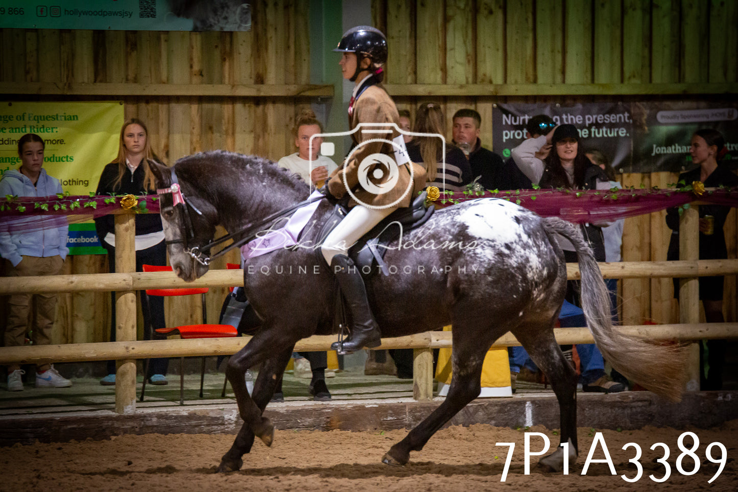 JHOYS 2025 - Ridden Showing - 28th September - pt4