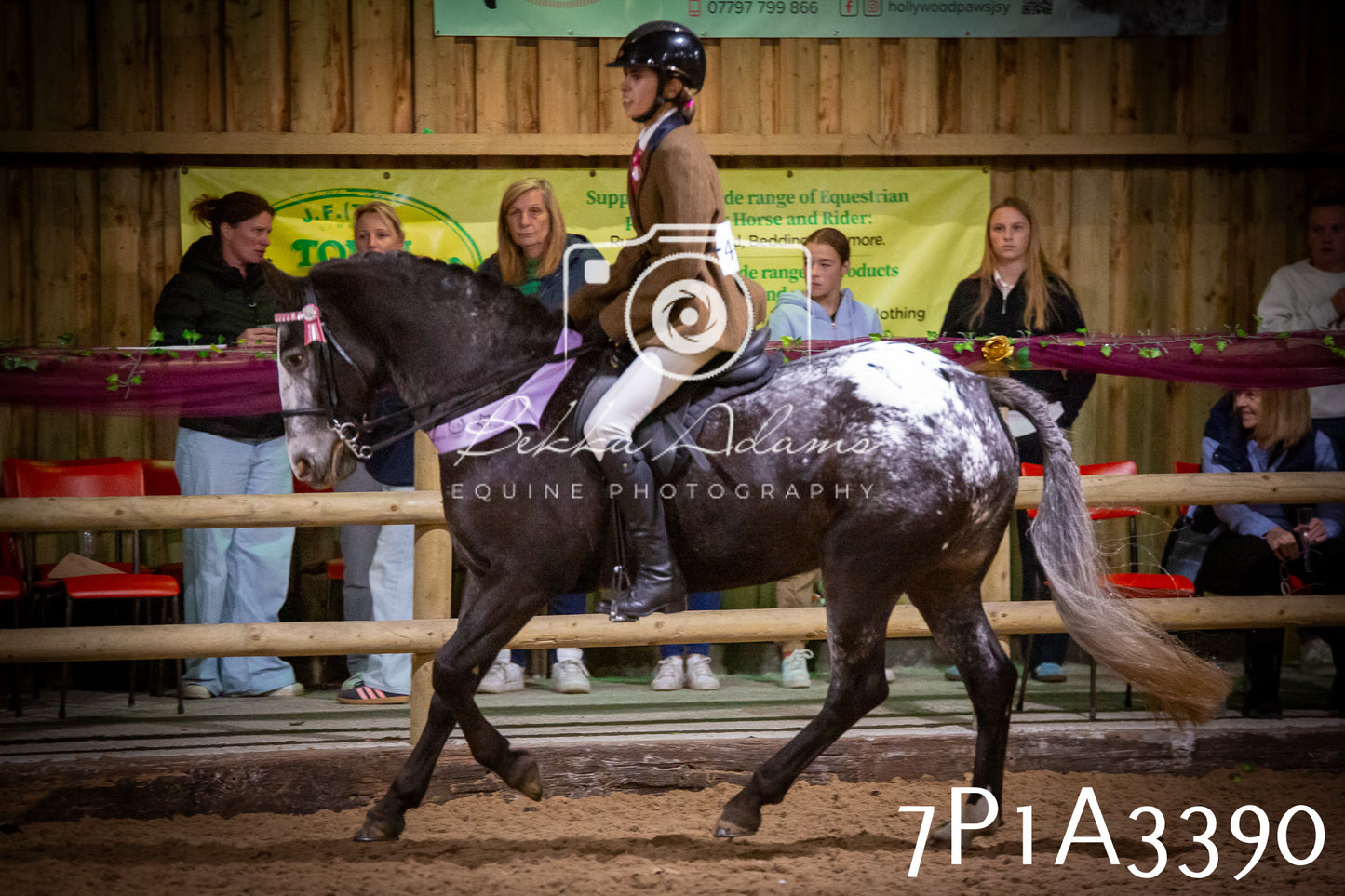 JHOYS 2025 - Ridden Showing - 28th September - pt4