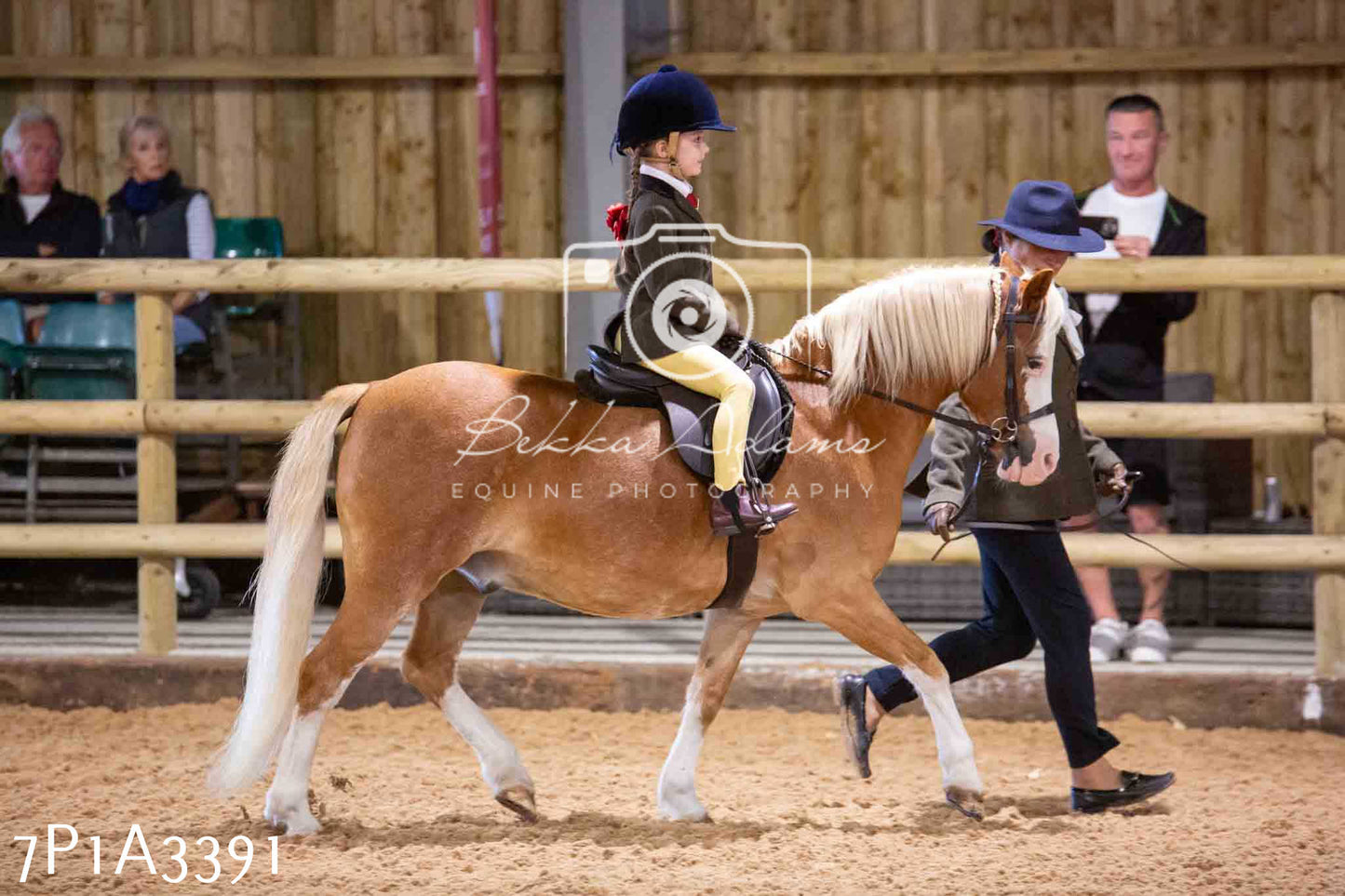 Home Farm Funshine Show 2024 - Ridden Showing 15th September