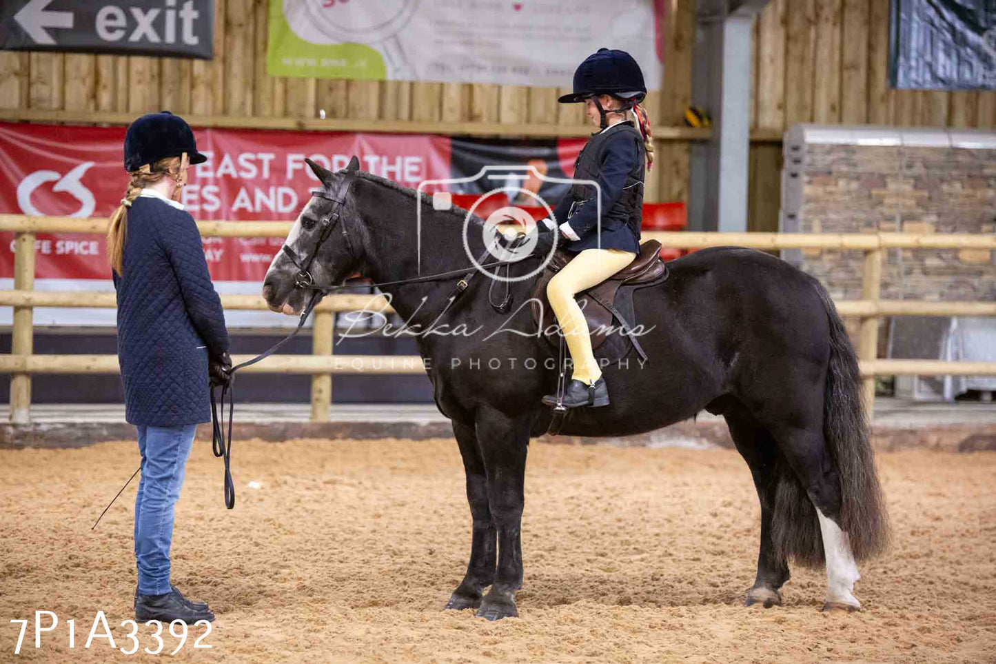 Home Farm Funshine Show 2024 - Ridden Showing 15th September