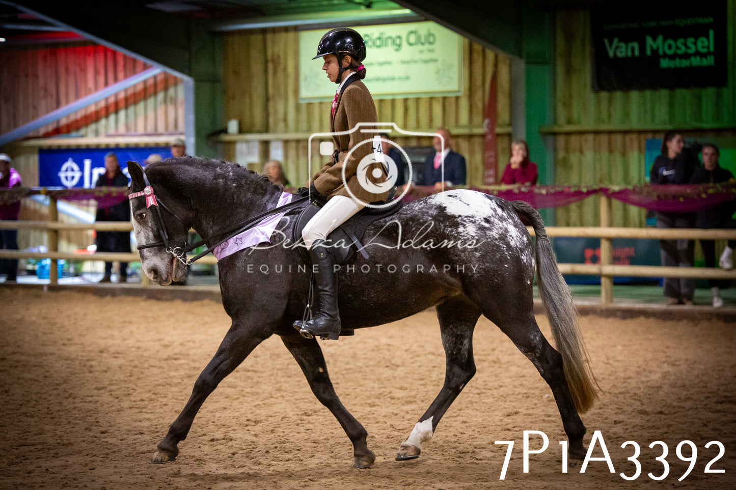 JHOYS 2025 - Ridden Showing - 28th September - pt4