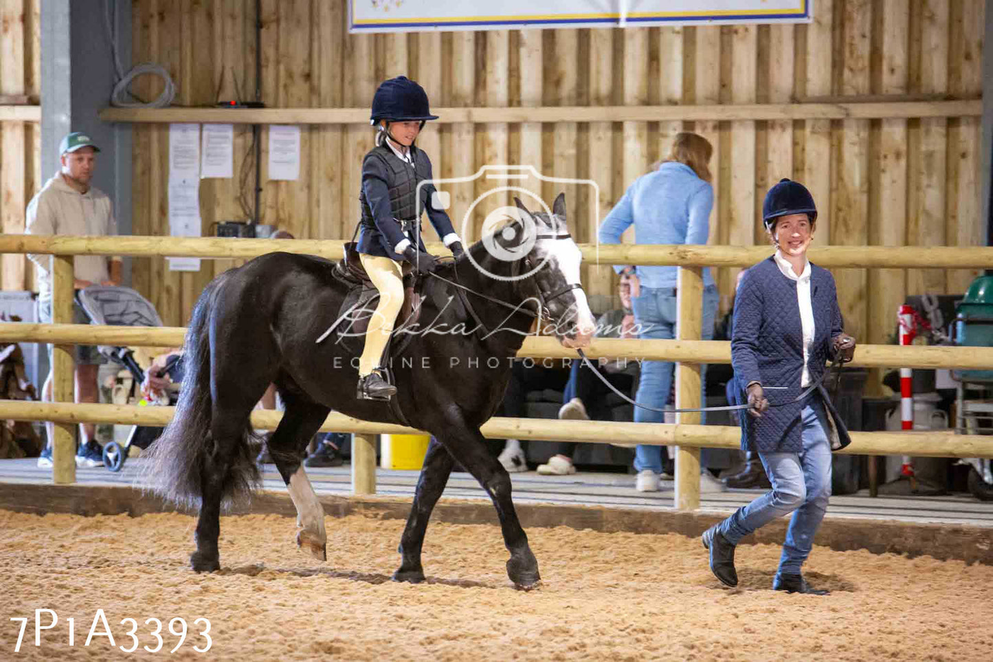 Home Farm Funshine Show 2024 - Ridden Showing 15th September