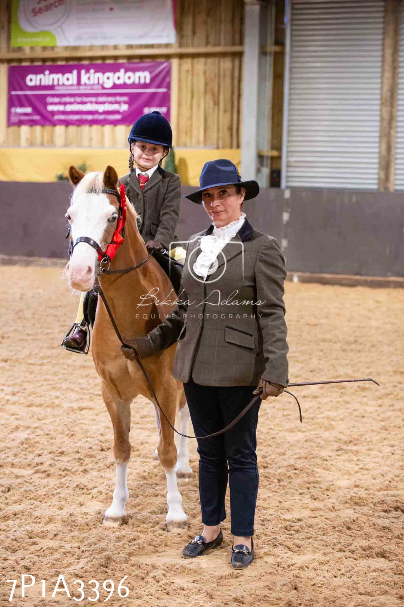 Home Farm Funshine Show 2024 - Ridden Showing 15th September