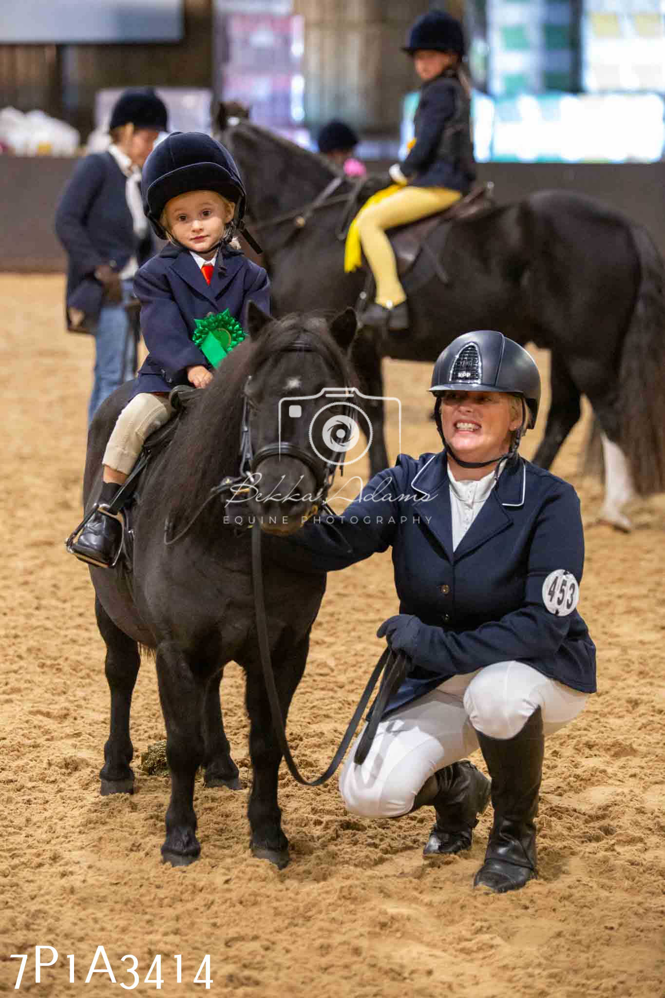 Home Farm Funshine Show 2024 - Ridden Showing 15th September