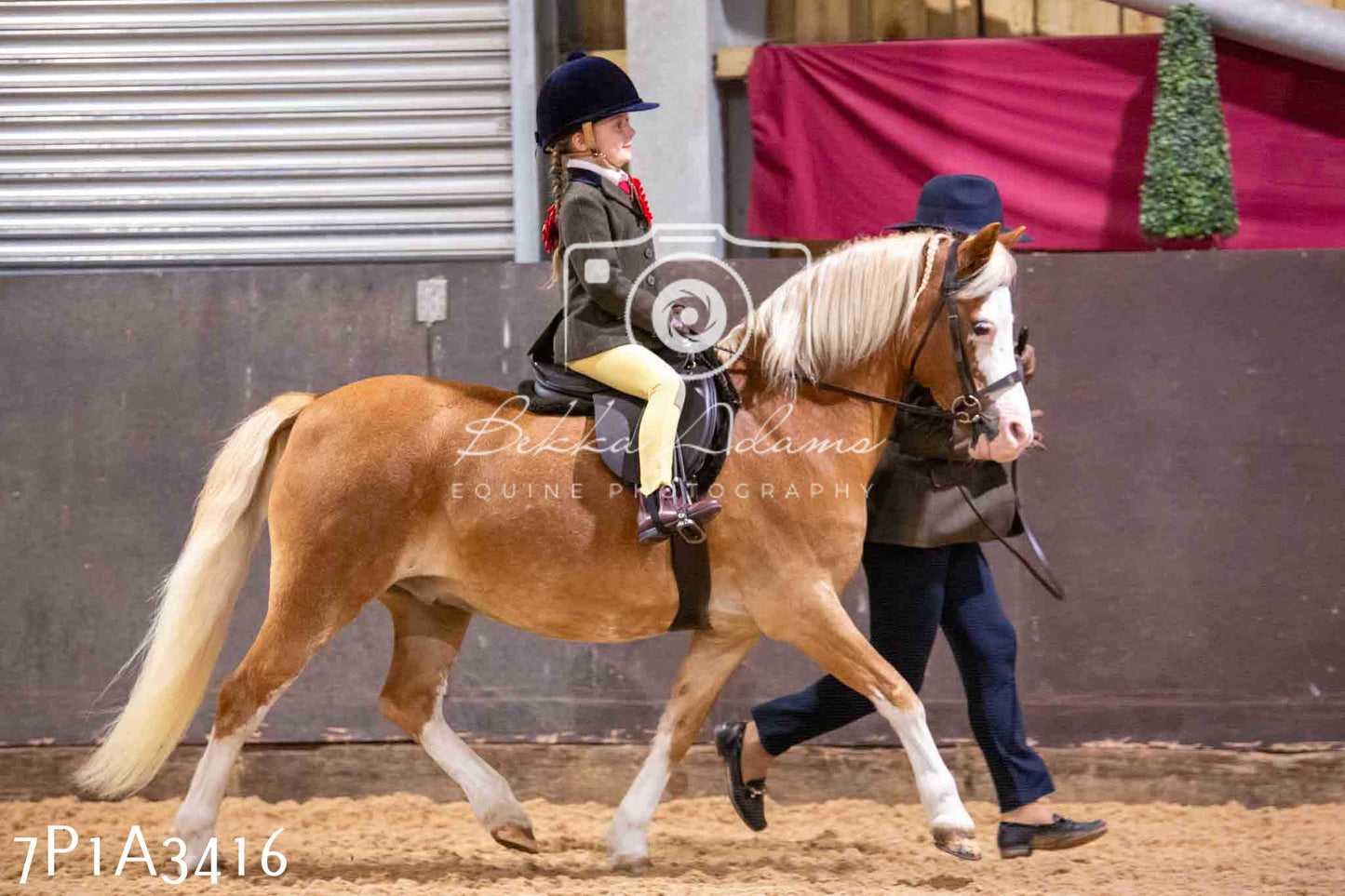 Home Farm Funshine Show 2024 - Ridden Showing 15th September