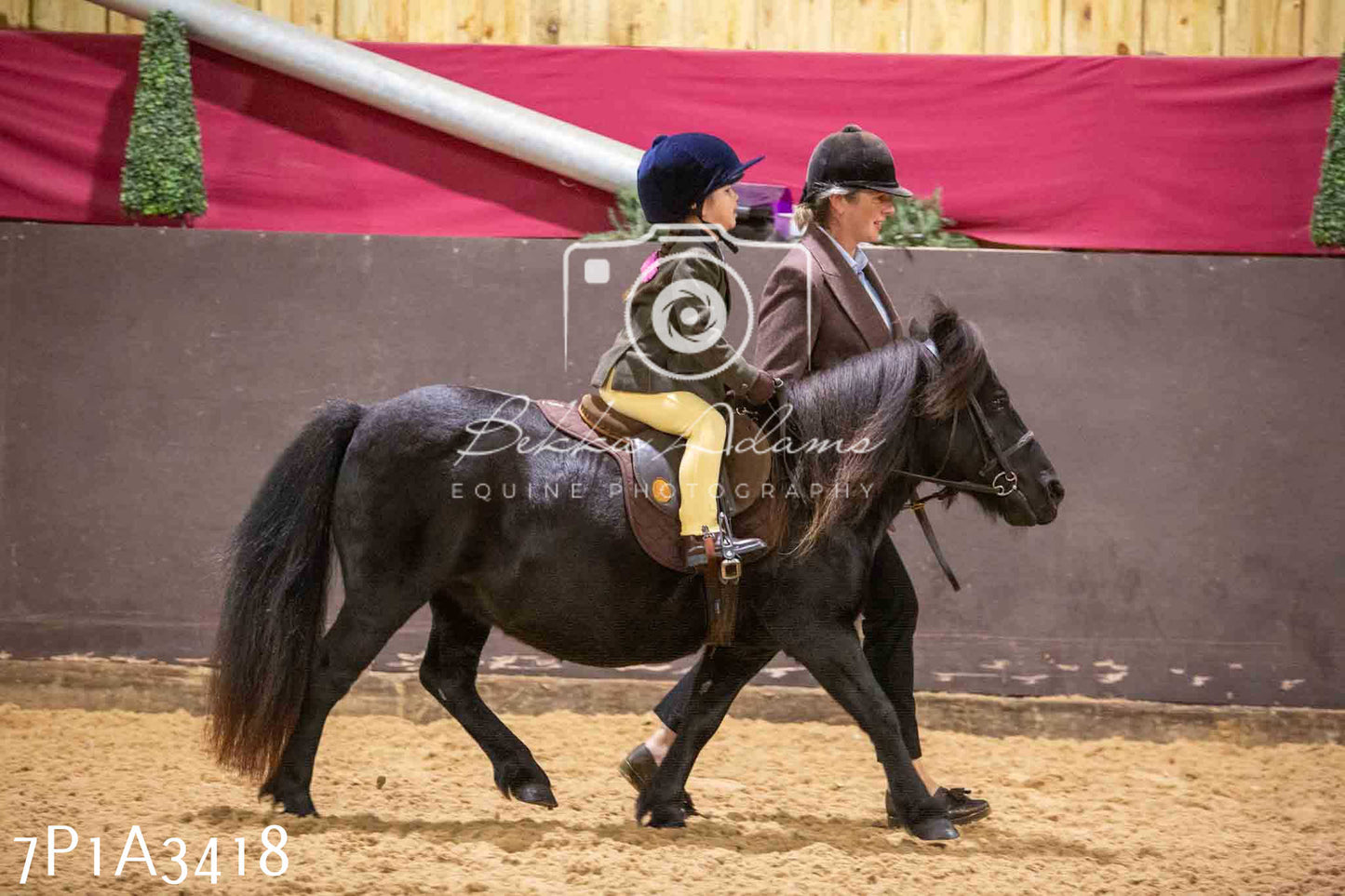 Home Farm Funshine Show 2024 - Ridden Showing 15th September