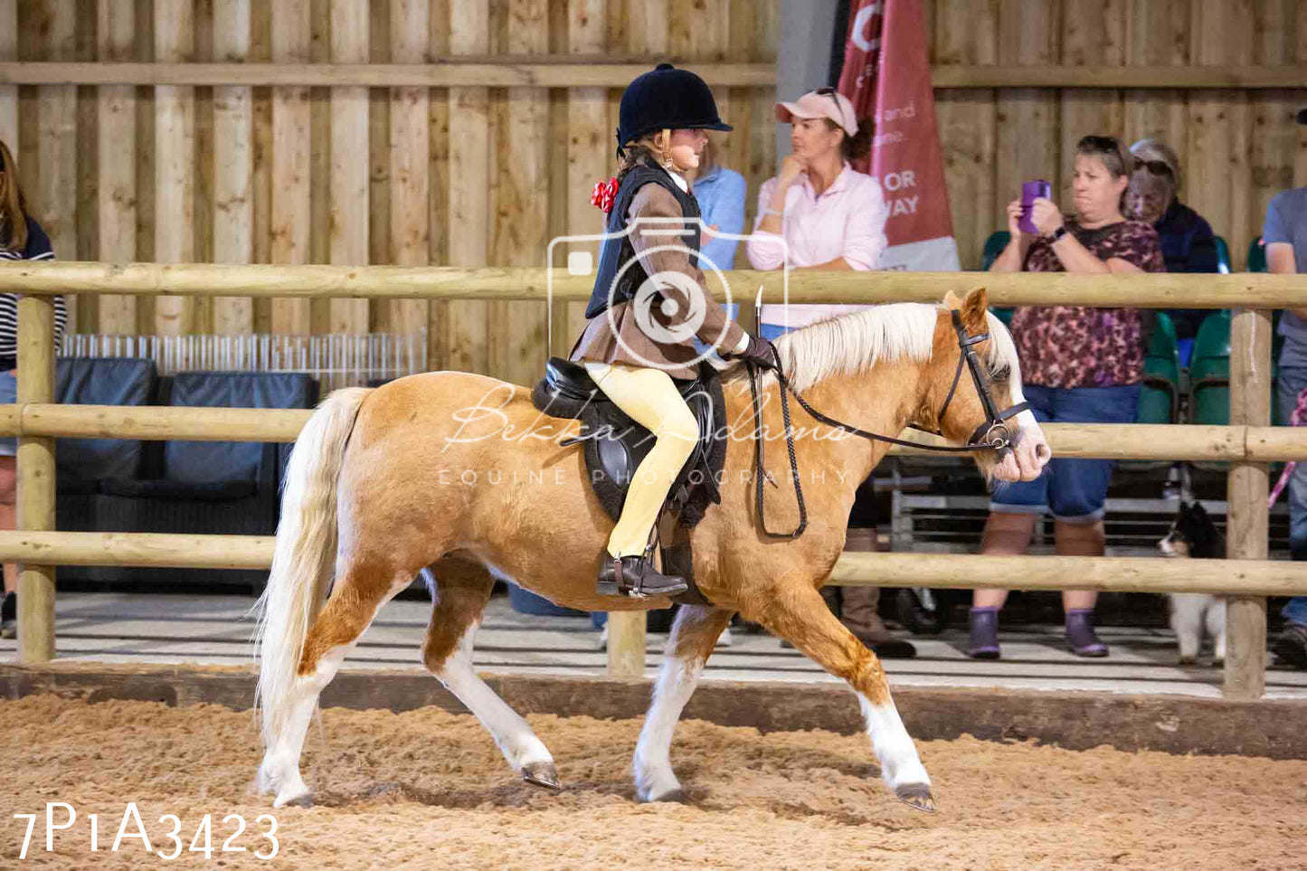 Home Farm Funshine Show 2024 - Ridden Showing 15th September