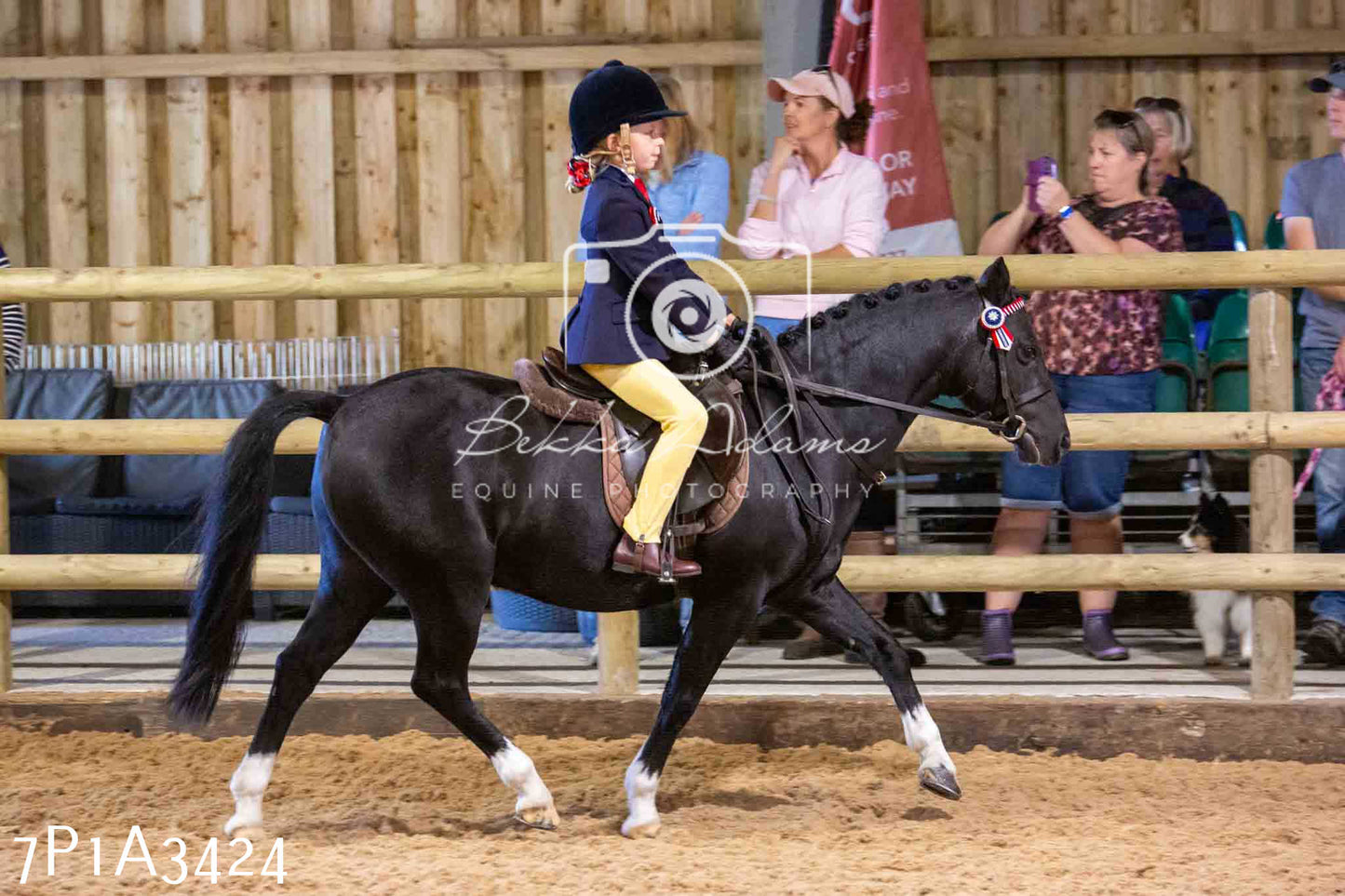 Home Farm Funshine Show 2024 - Ridden Showing 15th September