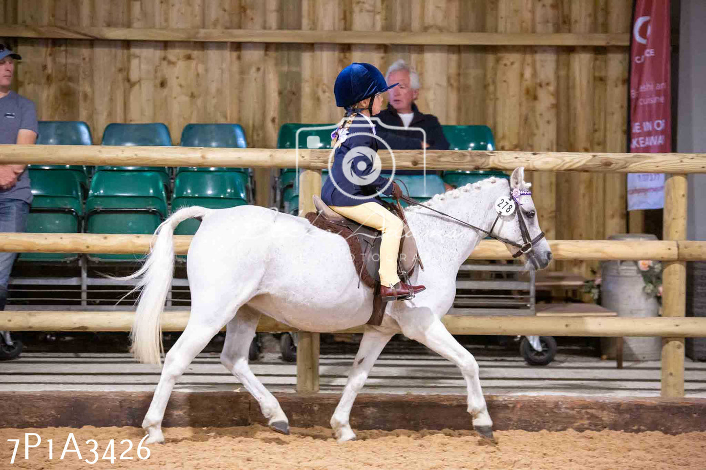 Home Farm Funshine Show 2024 - Ridden Showing 15th September