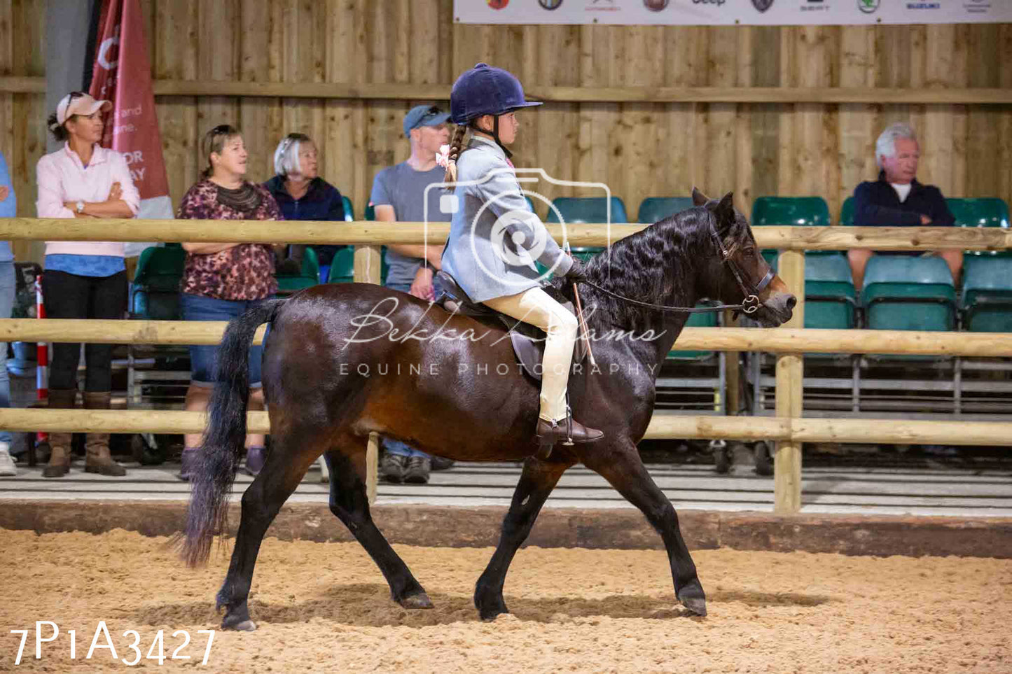 Home Farm Funshine Show 2024 - Ridden Showing 15th September