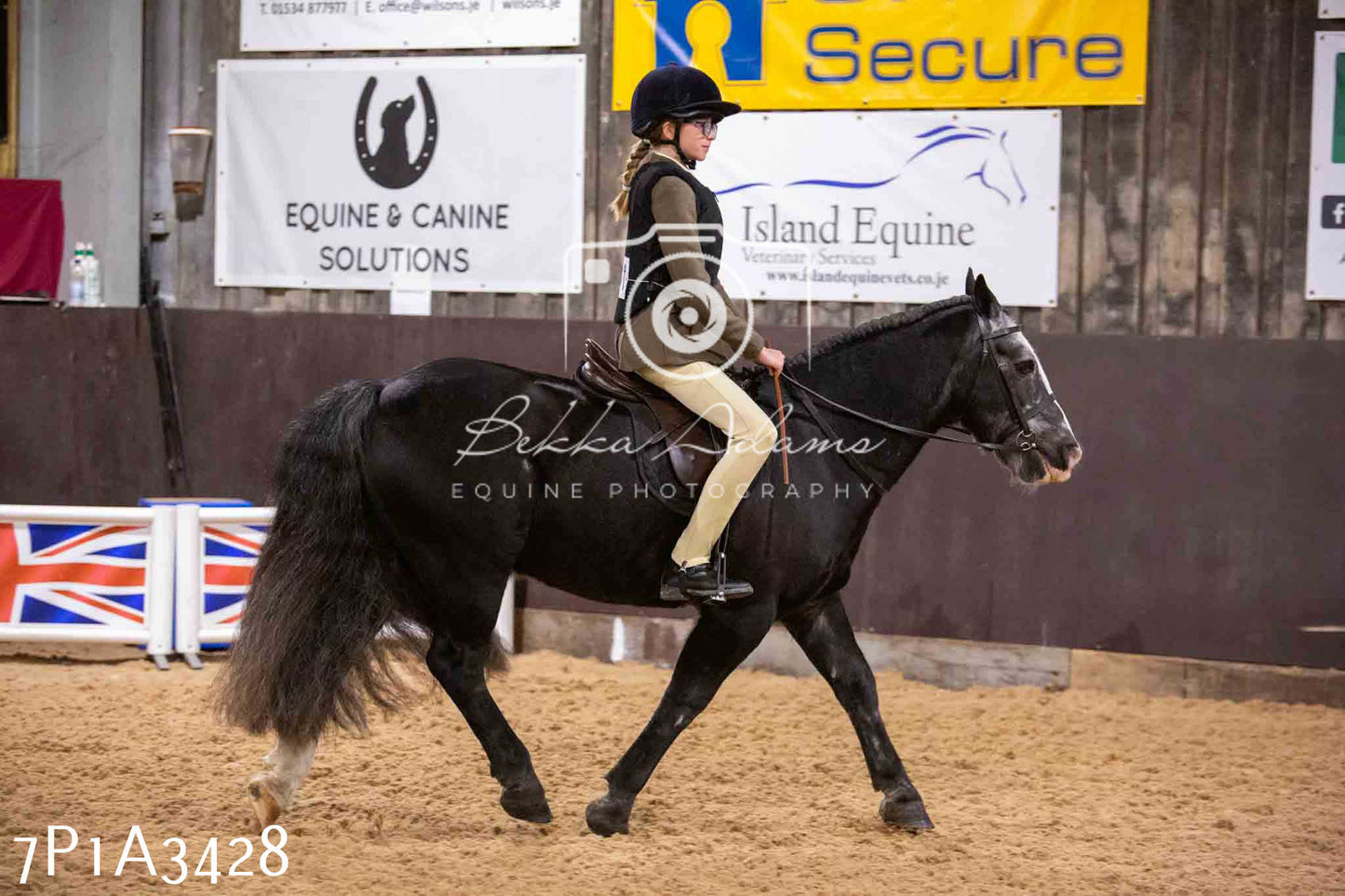 Home Farm Funshine Show 2024 - Ridden Showing 15th September