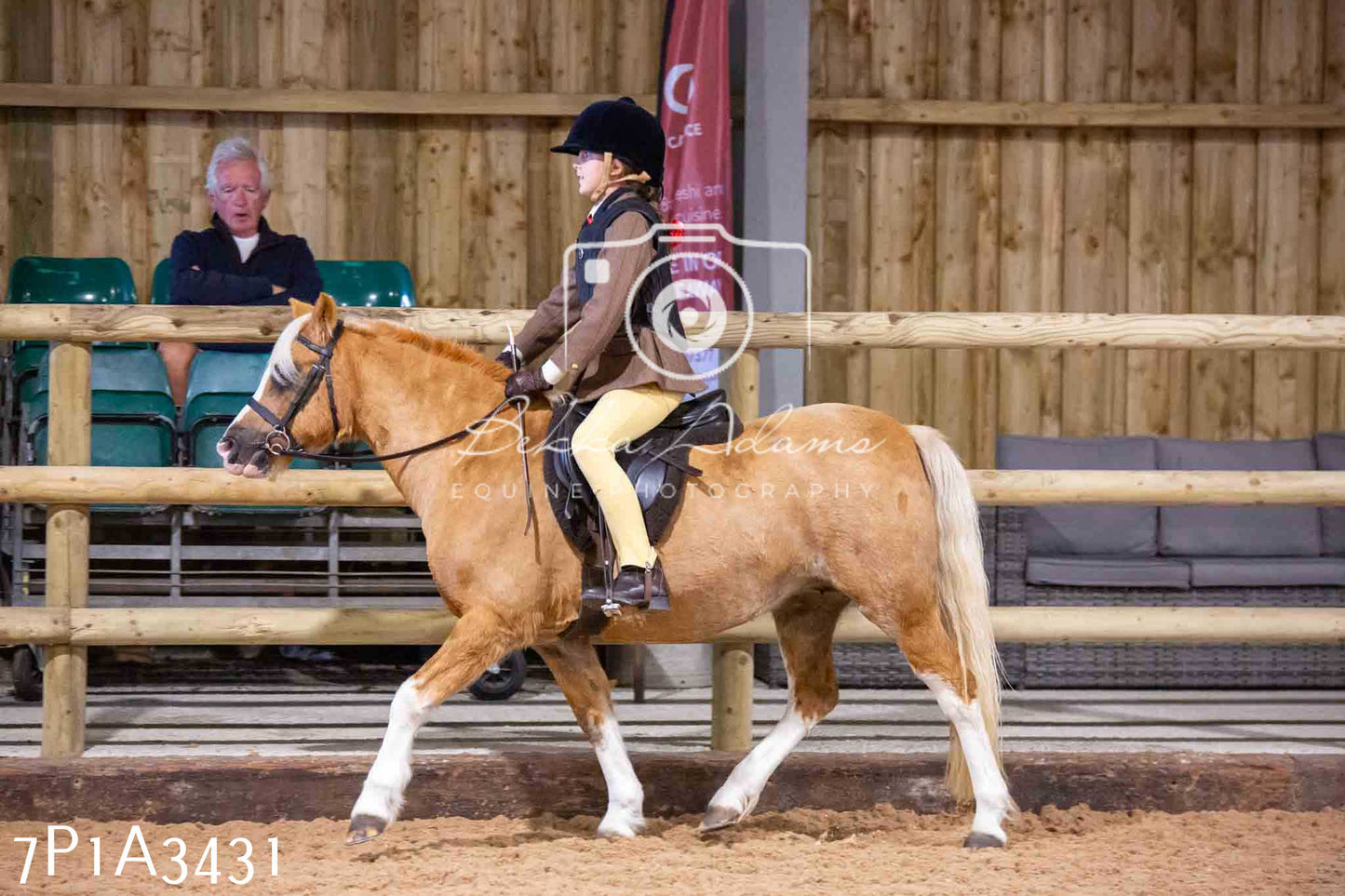 Home Farm Funshine Show 2024 - Ridden Showing 15th September