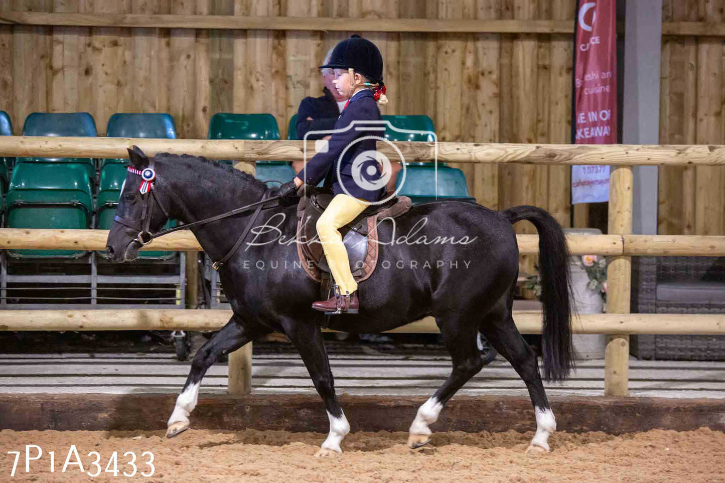 Home Farm Funshine Show 2024 - Ridden Showing 15th September