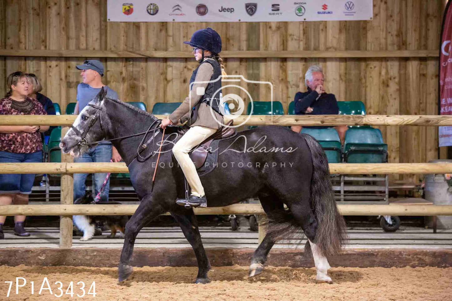 Home Farm Funshine Show 2024 - Ridden Showing 15th September