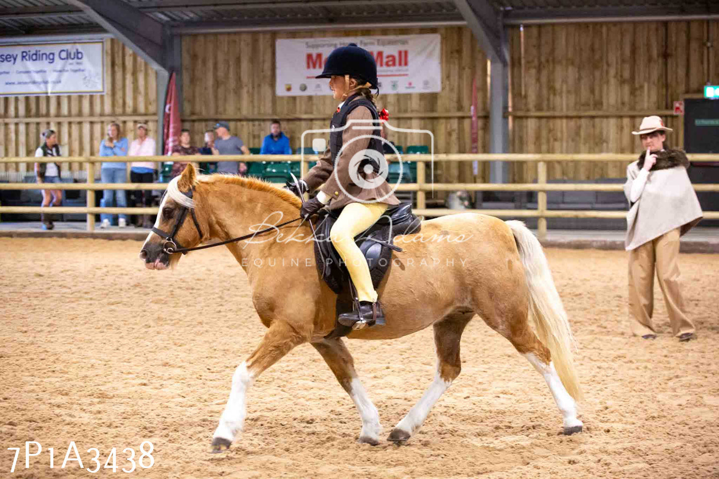 Home Farm Funshine Show 2024 - Ridden Showing 15th September