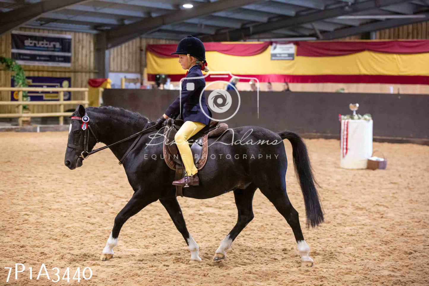 Home Farm Funshine Show 2024 - Ridden Showing 15th September